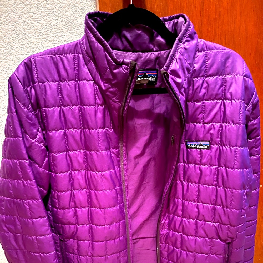 Patagonia Men’s Medium Puffer (Mint Shape)